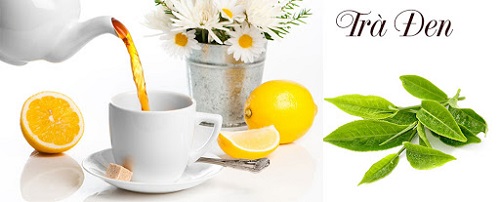 Top 6 công ty sản xuất trà lớn nhất tại Việt Nam