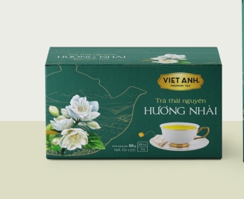 Trà Nhài túi lọc - Jasmine green tea 2g x 25 tép/hộp